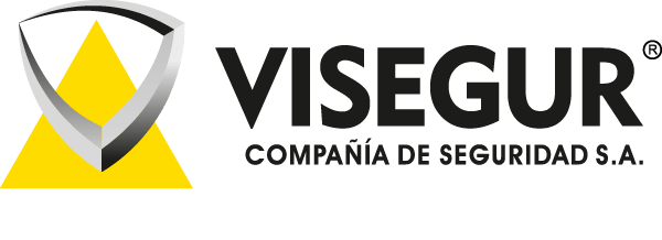 logo-visegur